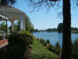 Willamette River and Bridge