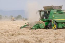 Field Harvest