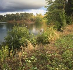 River Image