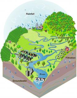 Water Cycle, rain to rivers and ground water